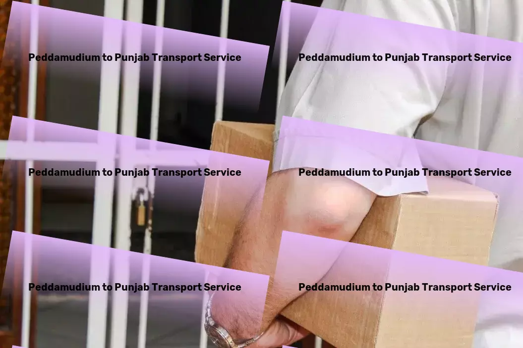 Peddamudium to Punjab Transport Full-scale freight delivery