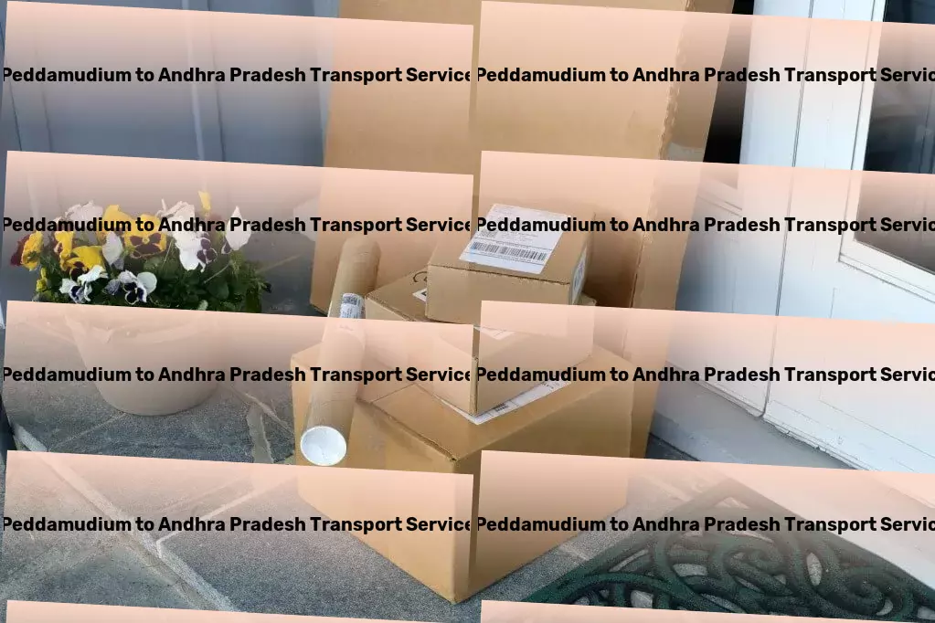 Peddamudium to Andhra Pradesh Transport Your shortcut to quicker, more reliable commutes! - Residential courier services