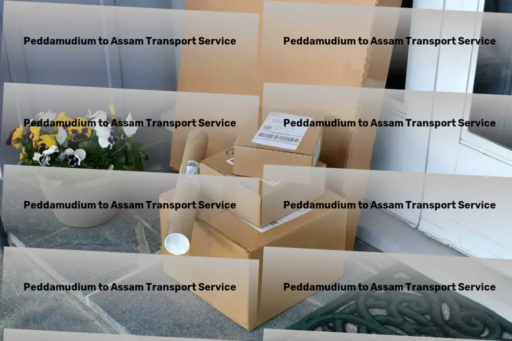 Peddamudium to Assam Transport Keep your devices running smoothly with tech maintenance tips! - Citywide freight logistics