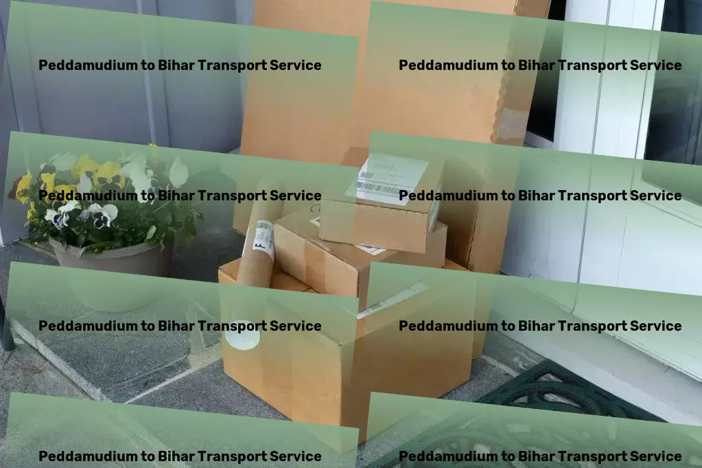 Peddamudium to Bihar Transport Delivery service provider