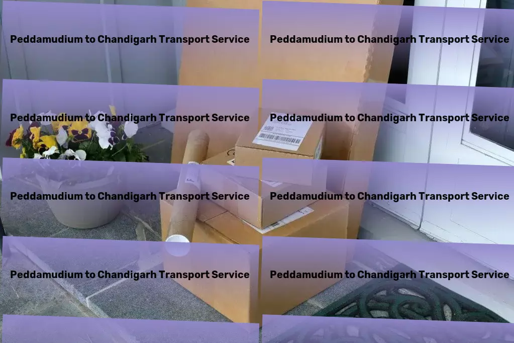 Peddamudium to Chandigarh Transport Innovative goods forwarding