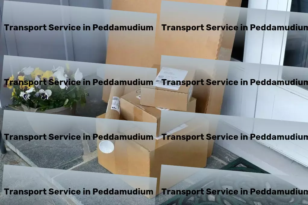 Luggage Courier in Peddamudium, Andhra Pradesh (AP) Protect your data and privacy online with cybersecurity tips! - Full-scale package delivery