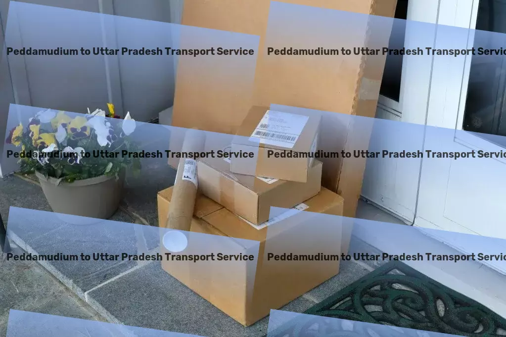 Peddamudium to Uttar Pradesh Transport Professionalism and perfection in Indian goods transport. - Cargo delivery services