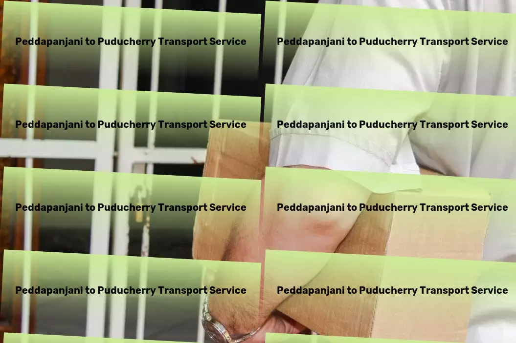 Peddapanjani to Puducherry Transport Rapid freight booking