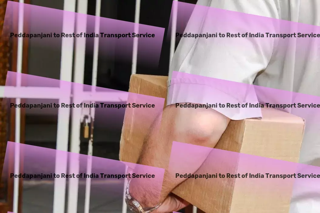 Peddapanjani to Rest Of India Transport Achieving unparalleled efficiency in India's logistics realm! - Specialized household logistics