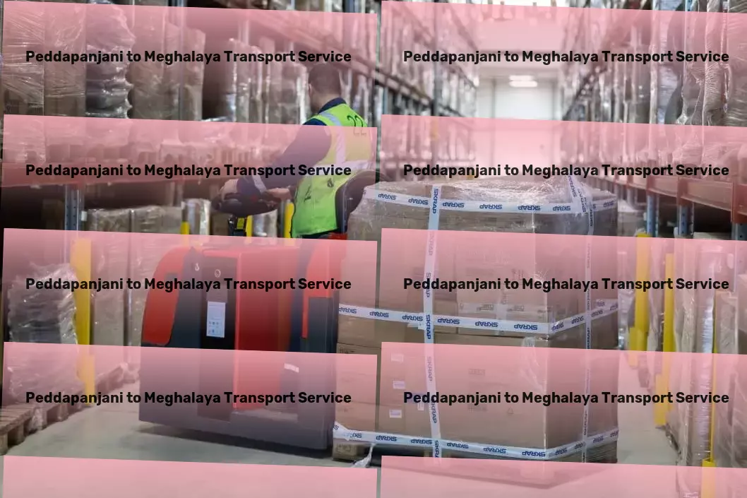 Peddapanjani to Meghalaya Transport Comprehensive logistic operations