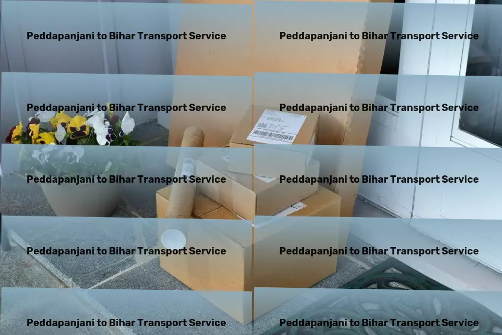 Peddapanjani to Bihar Transport Package distribution networks