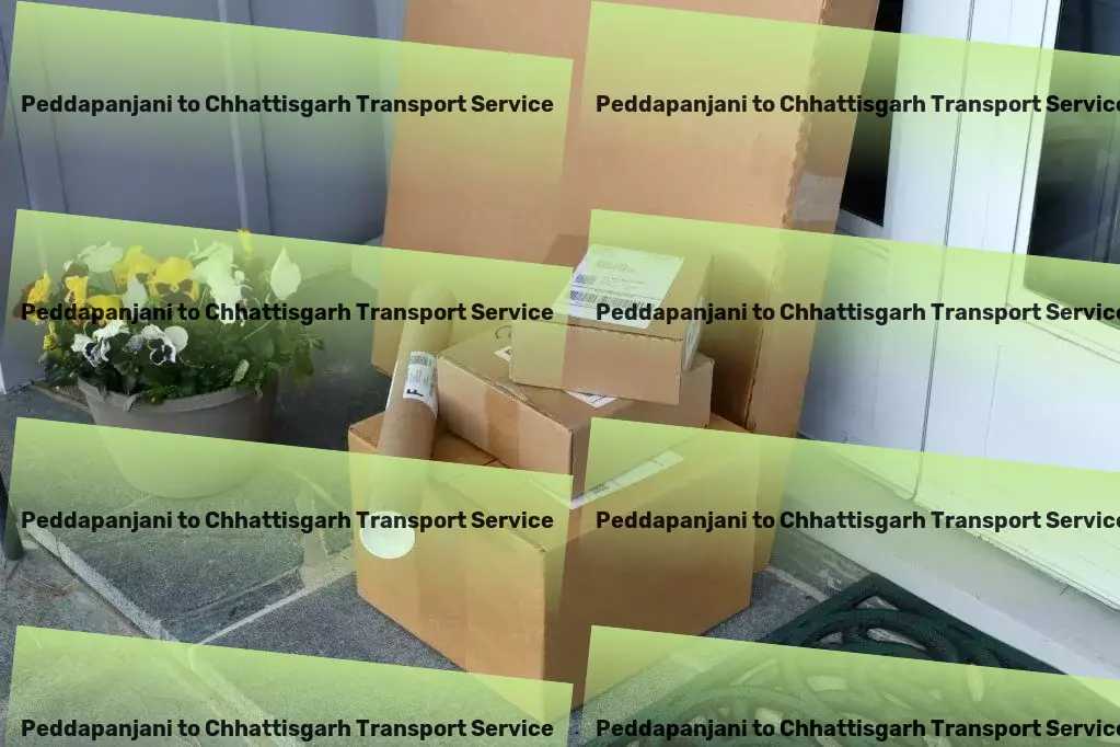 Peddapanjani to Chhattisgarh Transport Transport and delivery network