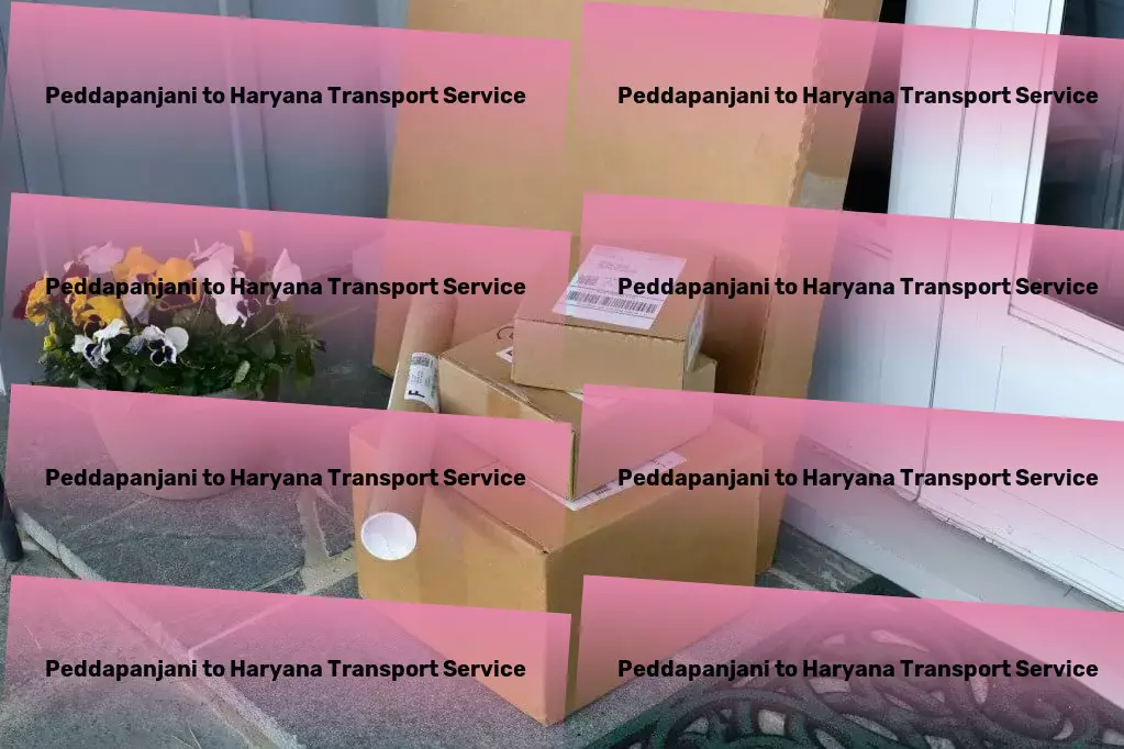 Peddapanjani to Haryana Transport A new age of efficient and sustainable transport in India. - Large package delivery