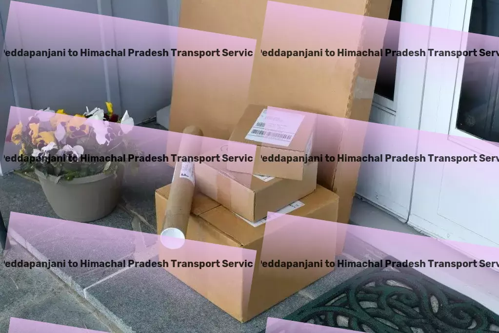 Peddapanjani to Himachal Pradesh Transport Tailored to fit: Transport solutions that understand India. - Part load shipping