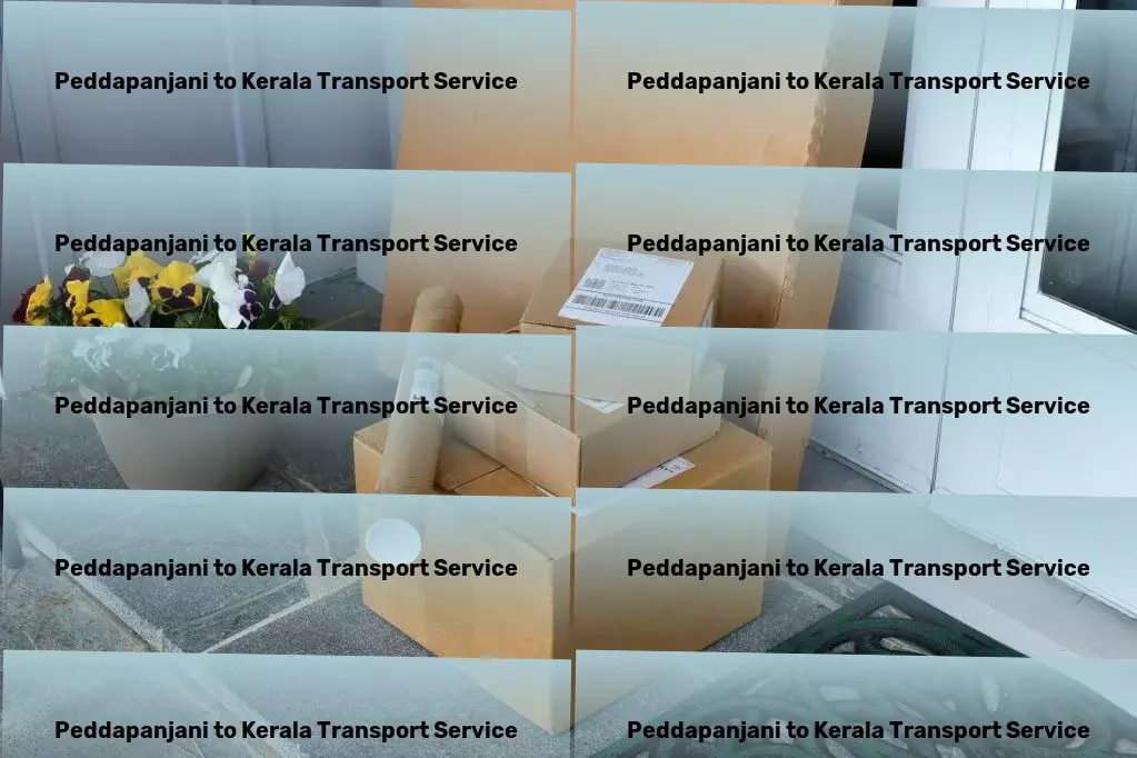 Peddapanjani to Kerala Transport Nationwide freight moving