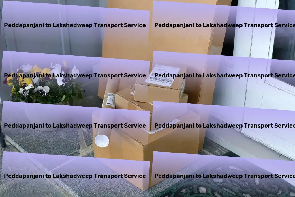 Peddapanjani to Lakshadweep Transport Efficient package logistics