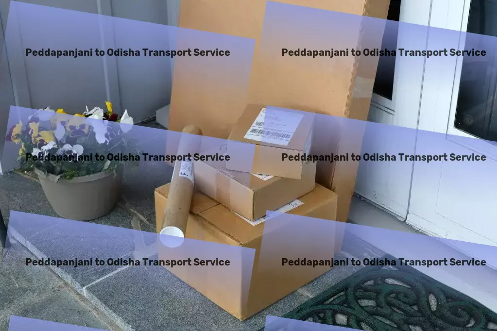 Peddapanjani to Odisha Transport Stay updated with the latest in tech innovation! - Urban freight forwarding