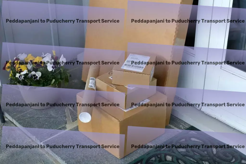 Peddapanjani to Puducherry Transport Comprehensive package logistics