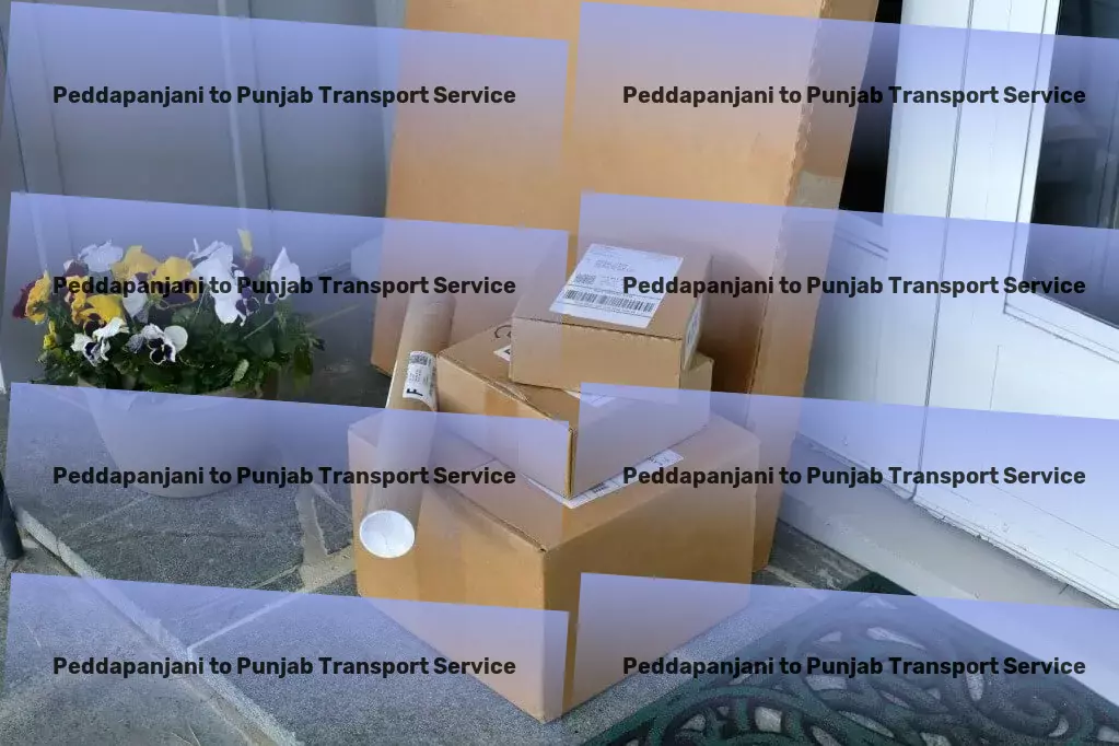 Peddapanjani to Punjab Transport High-capacity transport and shipment