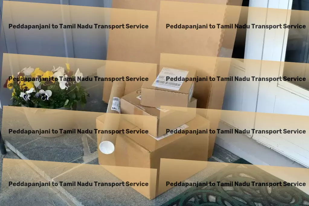 Peddapanjani to Tamil Nadu Transport Nationwide transport coordination