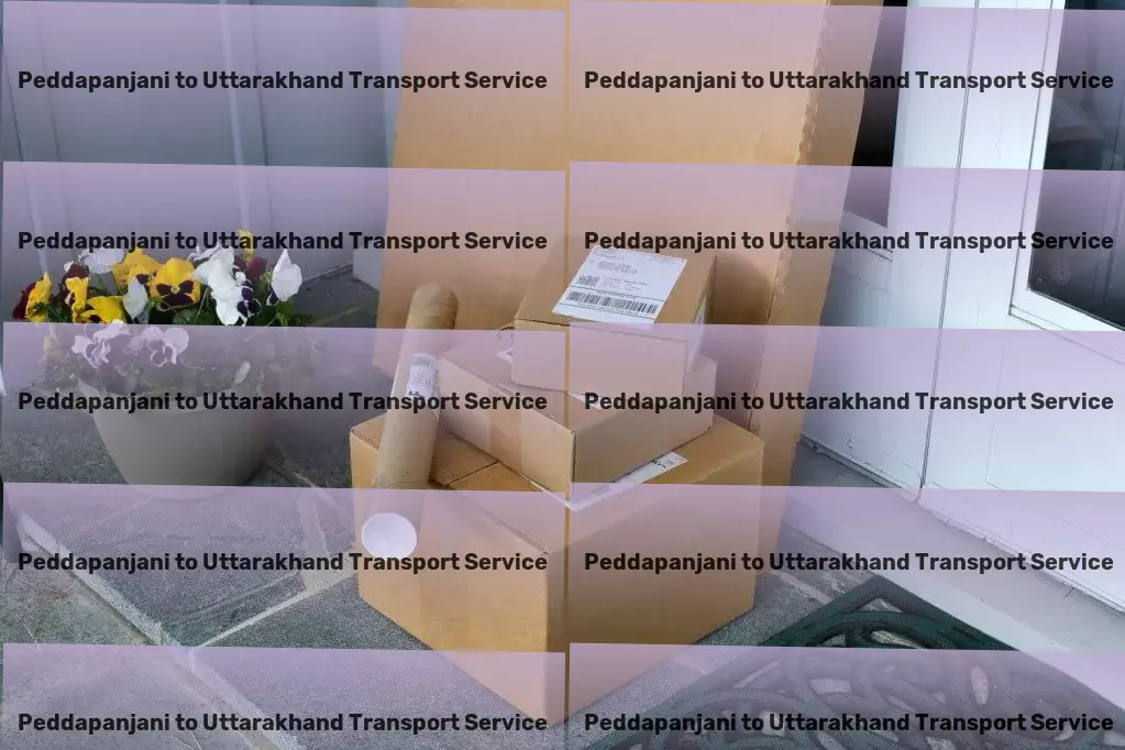 Peddapanjani to Uttarakhand Transport Comprehensive transport operations