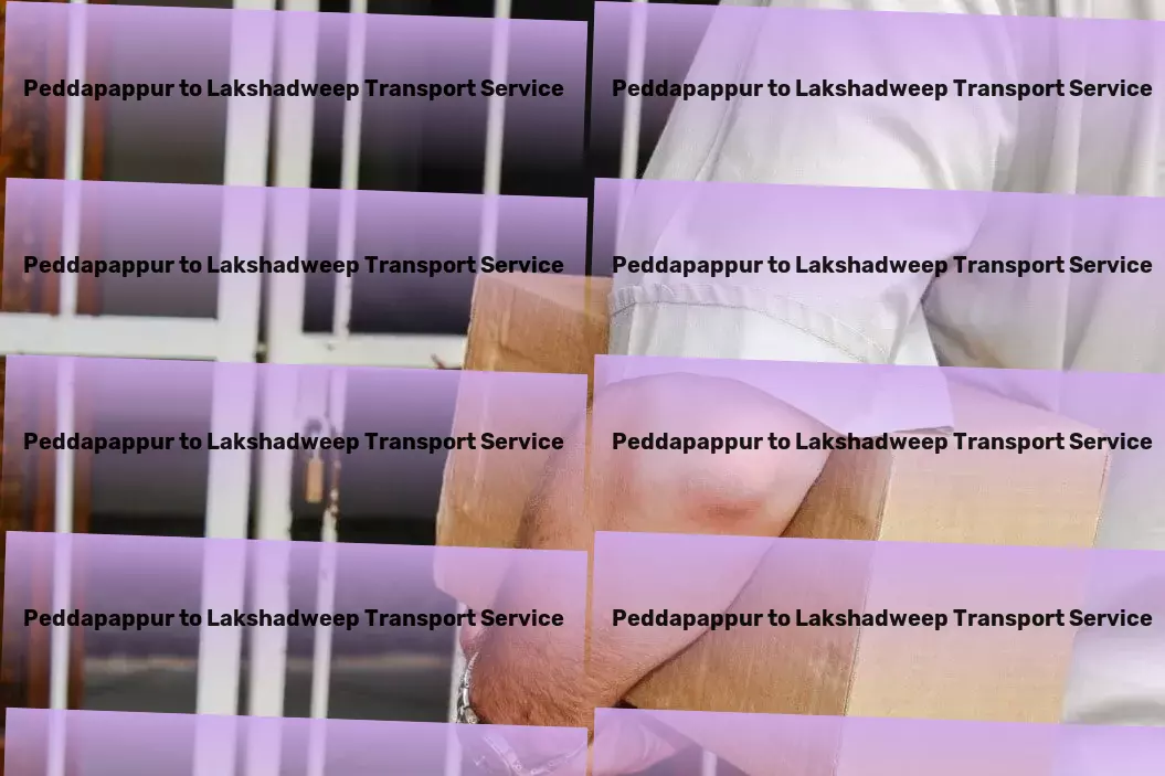 Peddapappur to Lakshadweep Transport Pioneering advanced transportation methods across India. - Global transport solutions