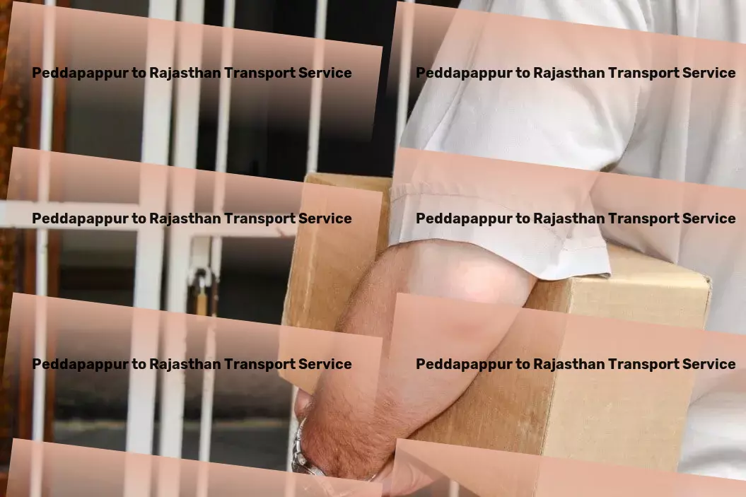 Peddapappur to Rajasthan Transport Multi-regional package services