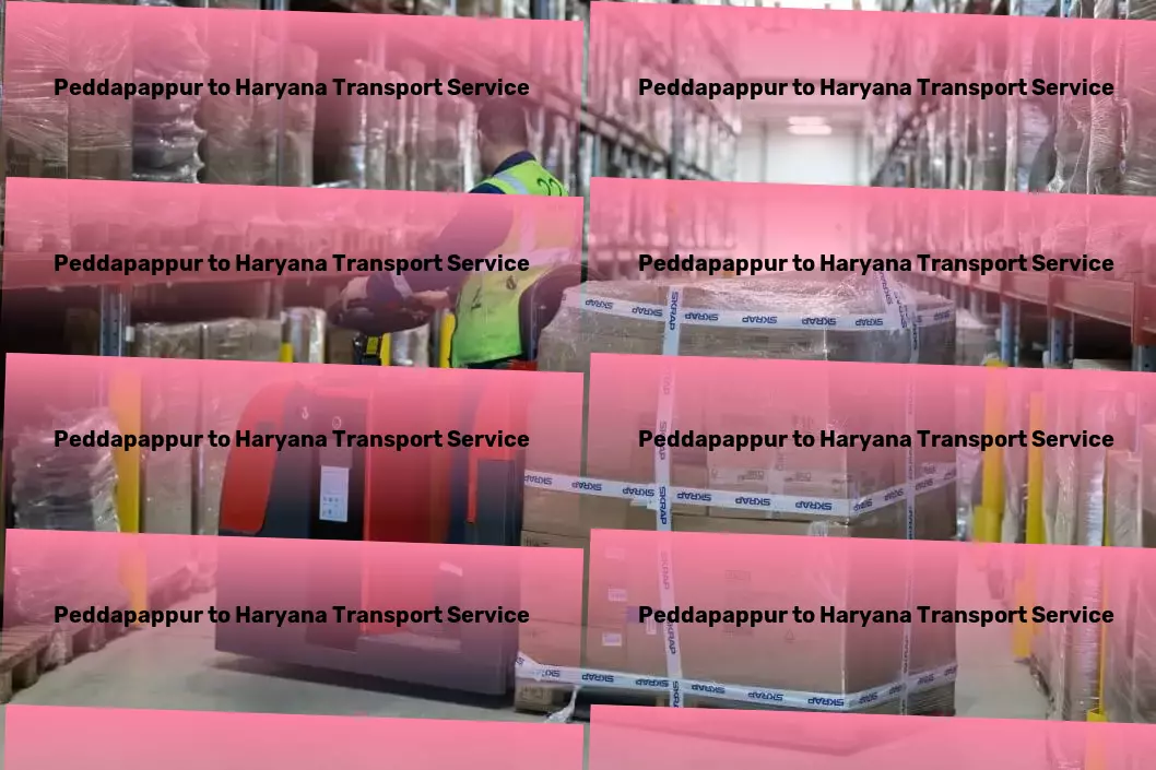 Peddapappur to Haryana Transport Connecting all corners of India with premium transport services! - Efficient transport solutions