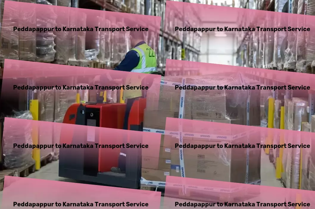 Peddapappur to Karnataka Transport Moving and storage services