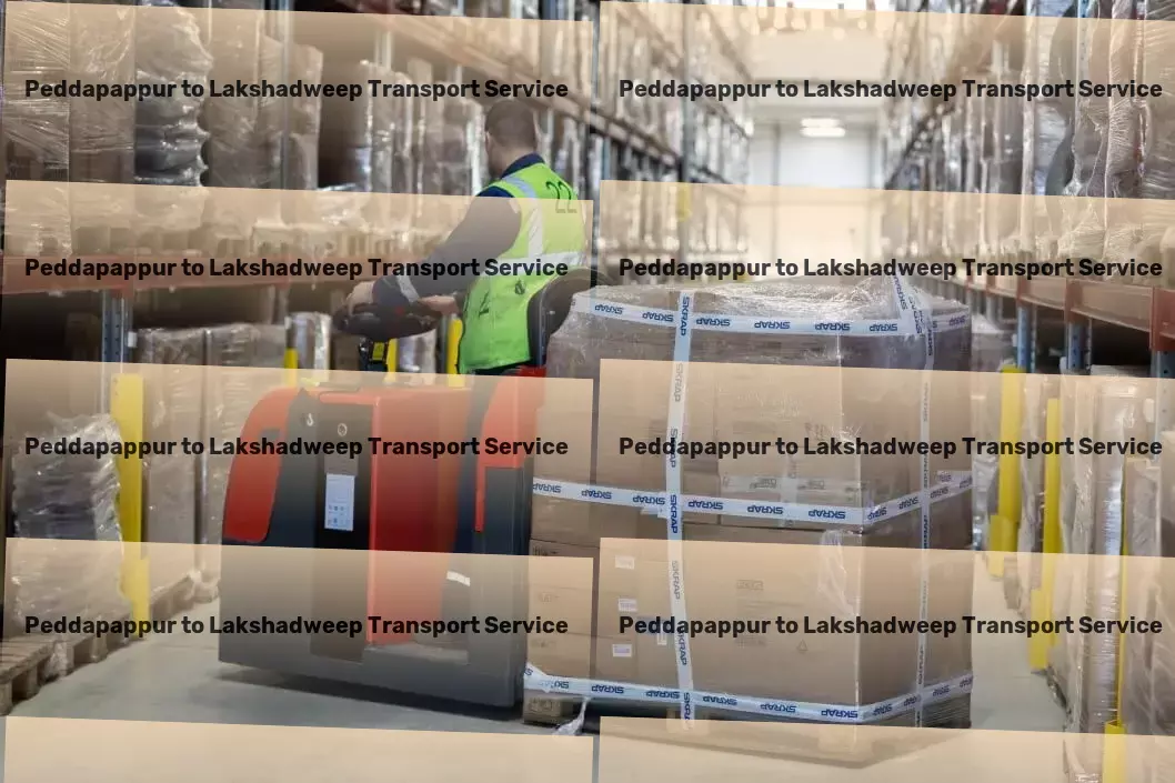 Peddapappur to Lakshadweep Transport High-speed goods delivery