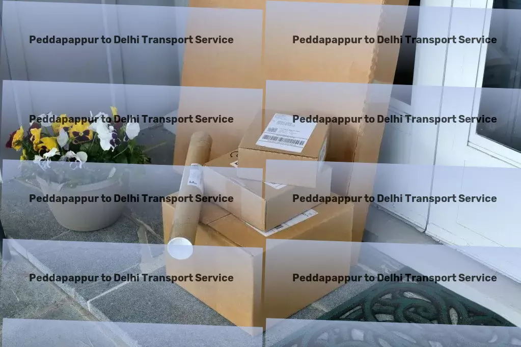 Peddapappur to Delhi Transport Efficient freight and shipment