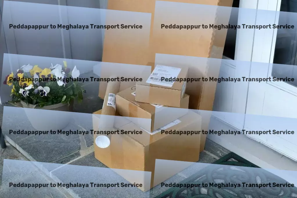 Peddapappur to Meghalaya Transport Drive your supply chain forward in India with our solutions! - Direct cargo services