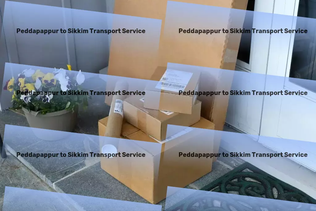 Peddapappur to Sikkim Transport Web-based logistics solutions