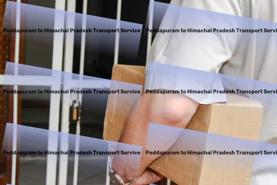 Peddapuram to Himachal Pradesh Transport Citywide parcel forwarding