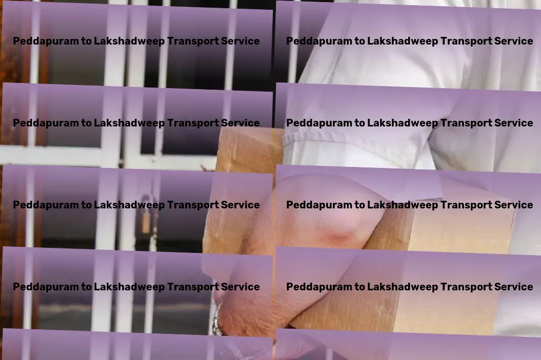 Peddapuram to Lakshadweep Transport Long-distance logistics