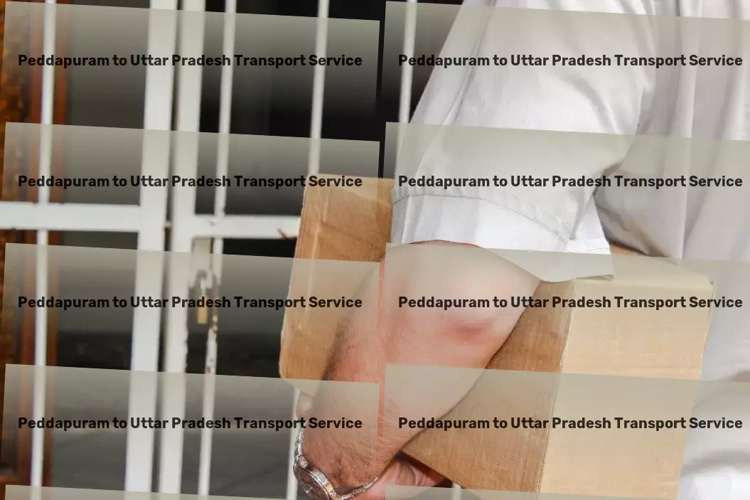 Peddapuram to Uttar Pradesh Transport Efficient cargo services