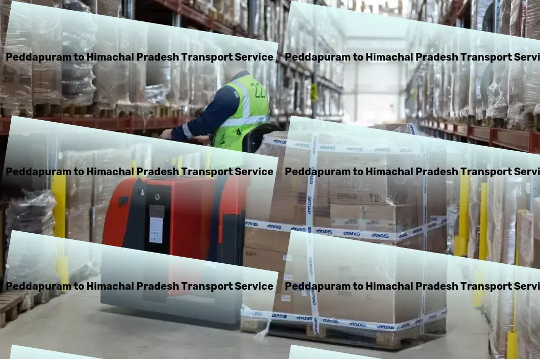 Peddapuram to Himachal Pradesh Transport Express bulk cargo delivery