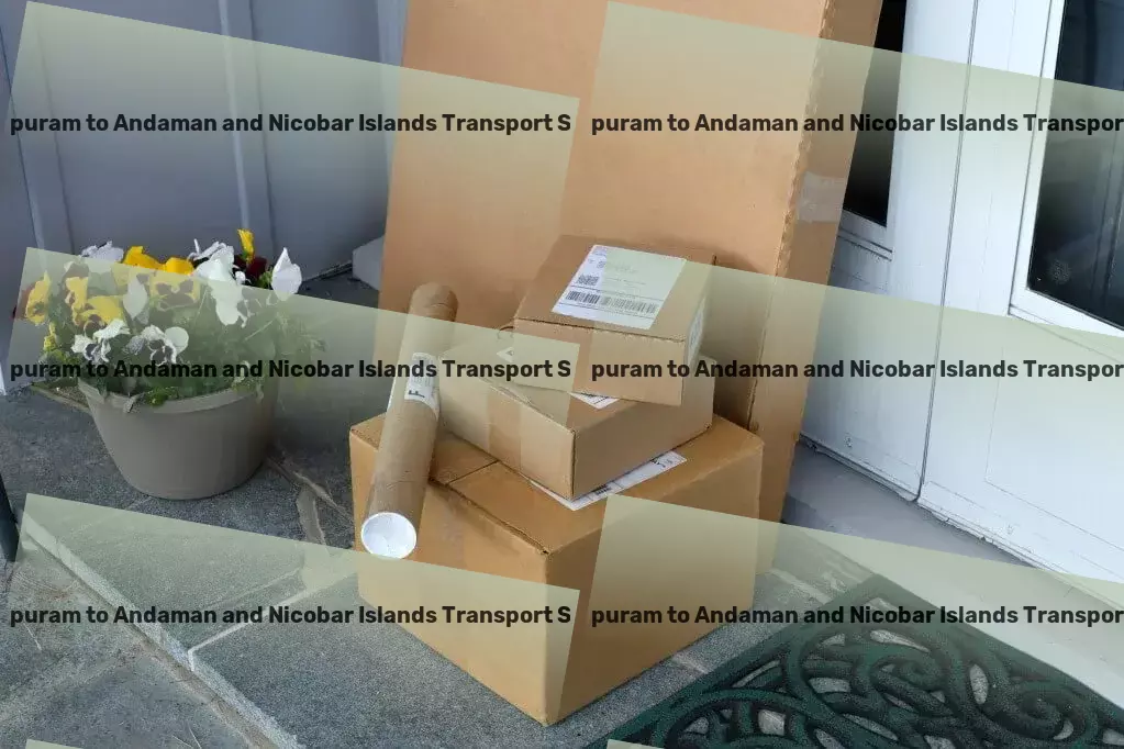 Peddapuram to Andaman And Nicobar Islands Transport National parcel forwarding