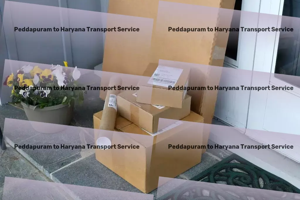 Peddapuram to Haryana Transport Fast logistics solutions