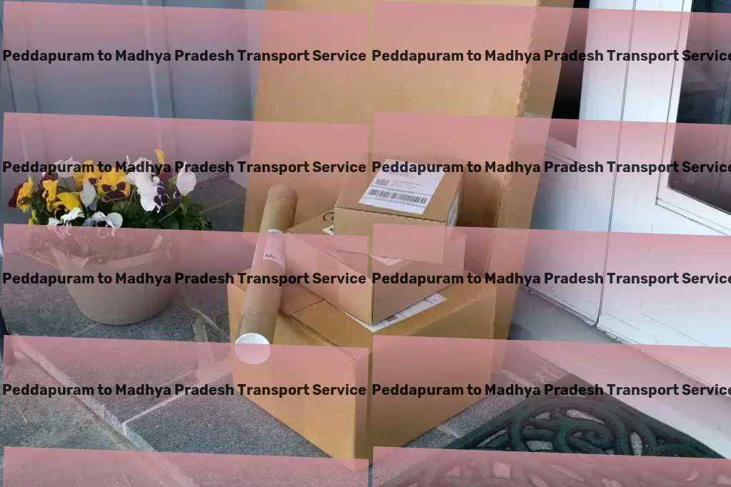 Peddapuram to Madhya Pradesh Transport Rapid transport solutions